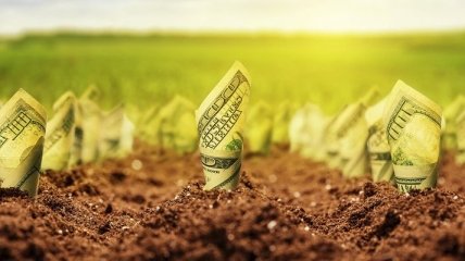 Земельная реформа: в Минэкономики напомнили о большом резерве внутренних инвестиций