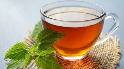 Чай с мелиссы: польза и вред горячего напитка 