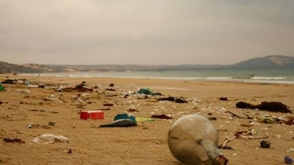 До 100 кг. мусора за один рейс: ученые хотят "пропылесосить" океан