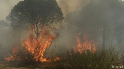 В Испании в результате лесных пожаров эвакуировали более 1000 человек