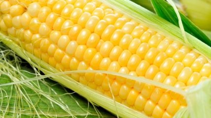 Импорт украинской кукурузы в Южную Корею
