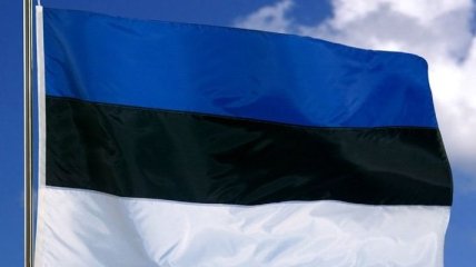 Верховенство права в Україні: Естонія буде допомагати Києву