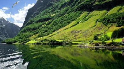 Самые прекрасные фьорды Норвегии, которые поражают своей красотой (Фото)
