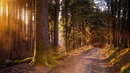 В Україну йде потепління