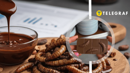 В Украине начала продавать шоколад с настоящими личинками