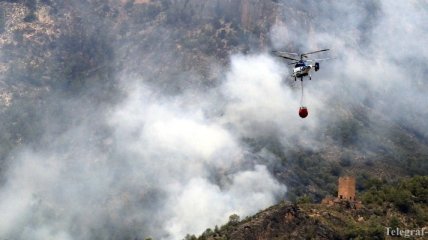 Масштабные лесные пожары в Греции приблизились к столице