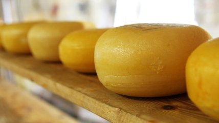 Необычное исследование: Хип-хоп делает сыр вкуснее 