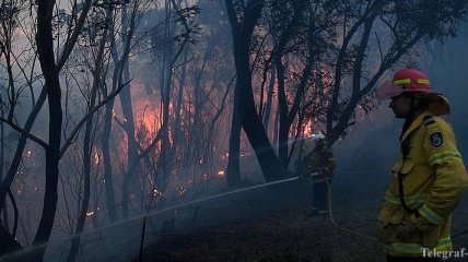 В Австралии бушуют лесные пожары: двое людей погибли и семеро пропали без вести