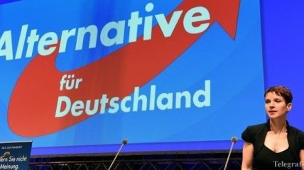 Выборы в Германии: АдГ занимает радикальную позицию по мигрантам