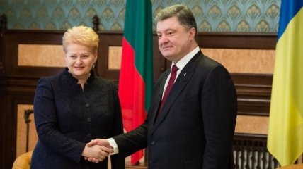 Грибаускайте: Литва планирует направить в Украину медиков