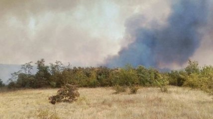 Масштабный пожар в Херсонской области ликвидирован