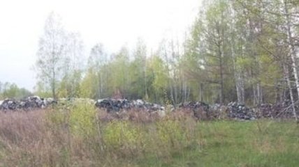 Львовский мусор нашли в чернобыльской зоне