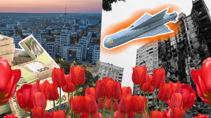 Клумбы в Харькове