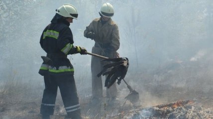 Спасателям осталось ликвидировать один очаг возгорания на Днепропетровщине