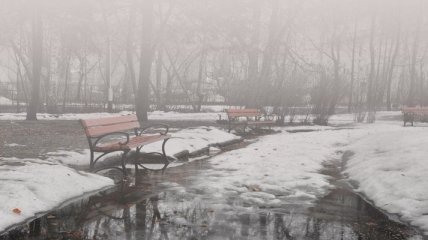Погода в Украине на 29 января: потеплеет, без осадков