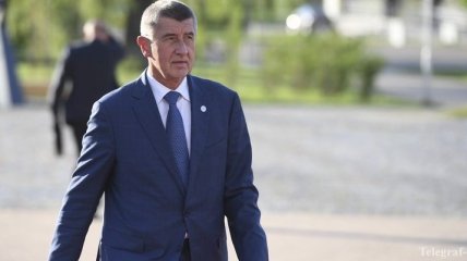 МИД: Чешский премьер не говорил о планах приобрести в Украине землю