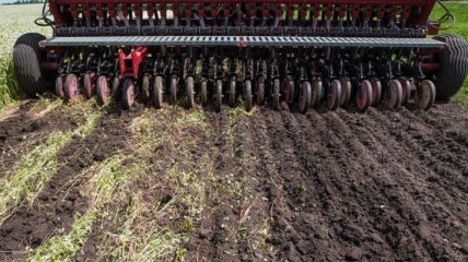 Минагро назвало цену гектара сельхозземли в случае отмены моратория на продажу 