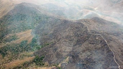 Лесные пожары в Амазонии могут лишить Бразилию соглашения с ЕС