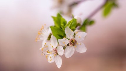 Какой праздник 13 марта: народные приметы и запреты