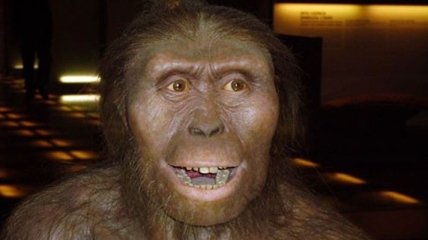 Ученые сделали интересное открытие о предках человека