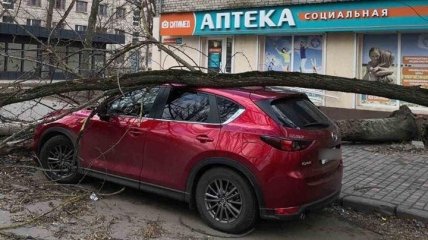 Через негоду в Україні залишились без світла понад 500 міст та сіл