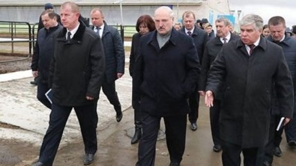 "Это же Освенцим!": Лукашенко уволил губернатора за грязный коровник  