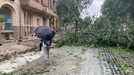 Улицы превратились в одну большую пробку: последствия шторма во Львове (фото, видео)