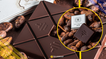 Иллюстративное фото