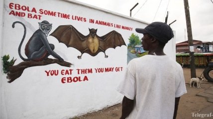 В Сьерра-Леоне зафиксировали новую вспышку Эболы