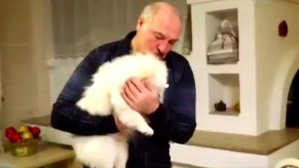 Лукашенко переборщил в наследовании Путина: видео с собакой смутило сеть