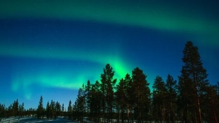 Видеотрансляцию северного сияния запустили в Лапландии