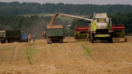 Украина начнет экспортировать зерно в Катар