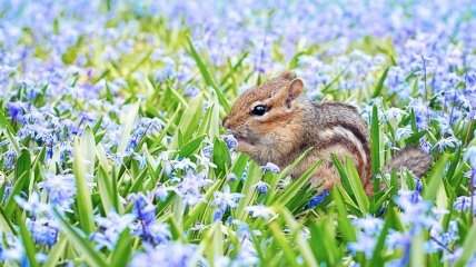 14 мая не жалуются на жизнь