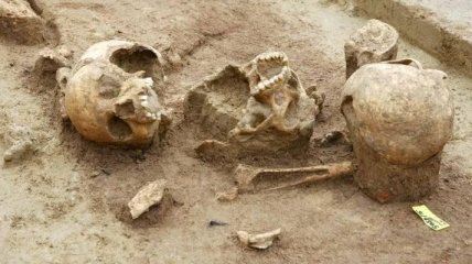 Найдено древнее захоронение возрастом 2000 лет