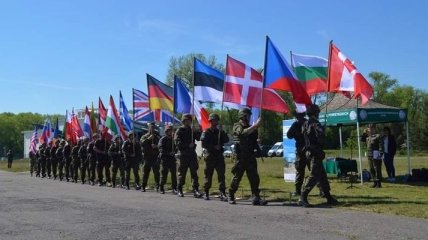DRAGON-19: В Польше стартовали крупные учения НАТО