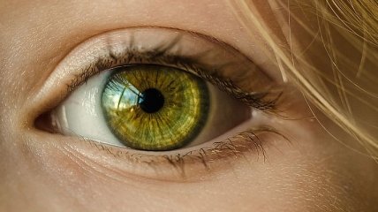 Соколиное зрение: продукты, которые рекомендуют офтальмологи (Фото)