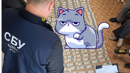 Кішка на грошах, які вилучили СБУ