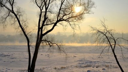 Прогноз погоды в Украине на 5 февраля: ожидают потепление