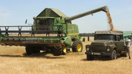 Украина к 3 сентября собрала 25,7 млн тонн зерна с 67% площадей