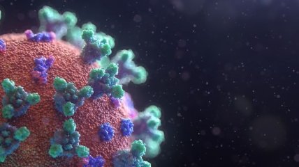 Ученые рассказали новые подробности о распространении коронавируса