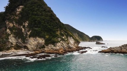 В Новой Зеландии ученые обнаружили неизвестное морское существо
