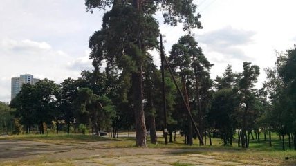Земельному участку возле Дарницы был присвоен статус парка-памятника