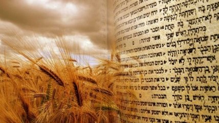 Шавуот 2020: історія і традиції єврейського свята
