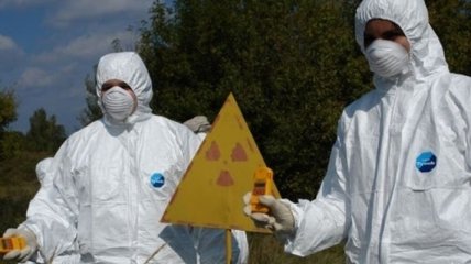 Во Франции в российских грибах нашли следы радиоактивного цезия