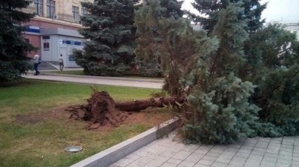 Ураган прошел в Харькове: ветер снес железный павильон, и валил деревья