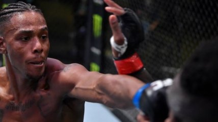 Непобедимый боец UFC забил ветерана ММА (видео)