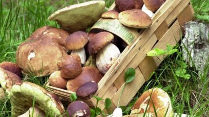 Гриби потрібно вміти готувати