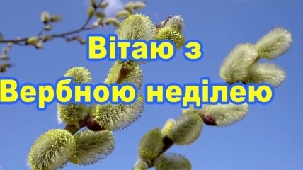 С Вербным воскресеньем 2019: Стихи и открытки на украинском языке