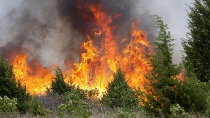 В Сибири продолжают гореть леса