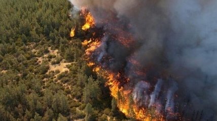 Синоптики снова предупреждают о чрезвычайной пожарной опасности